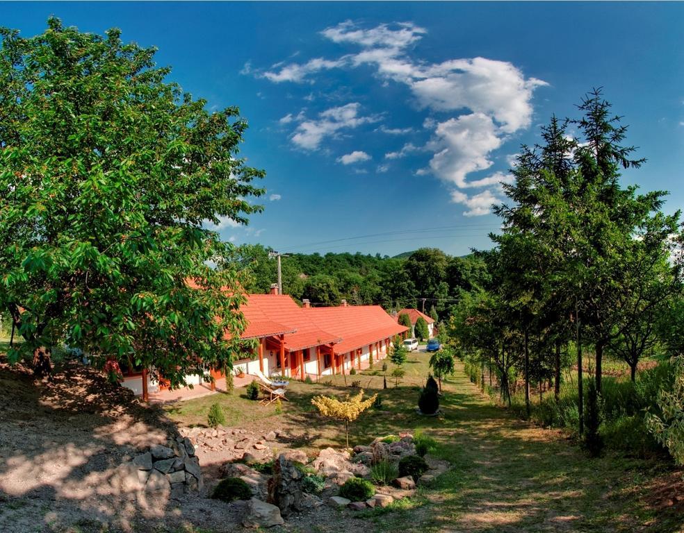 Nyitott Kapu Vendégház Hotel Felsőtárkány Kültér fotó